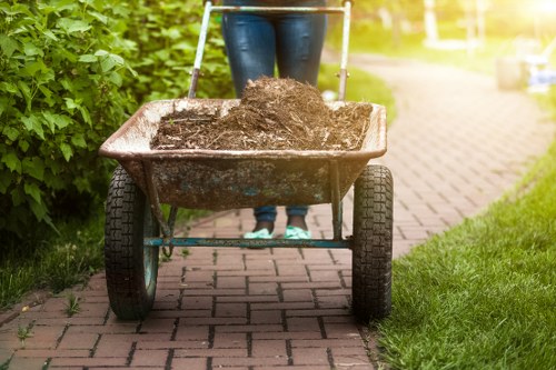 Eco-friendly house clearance practices